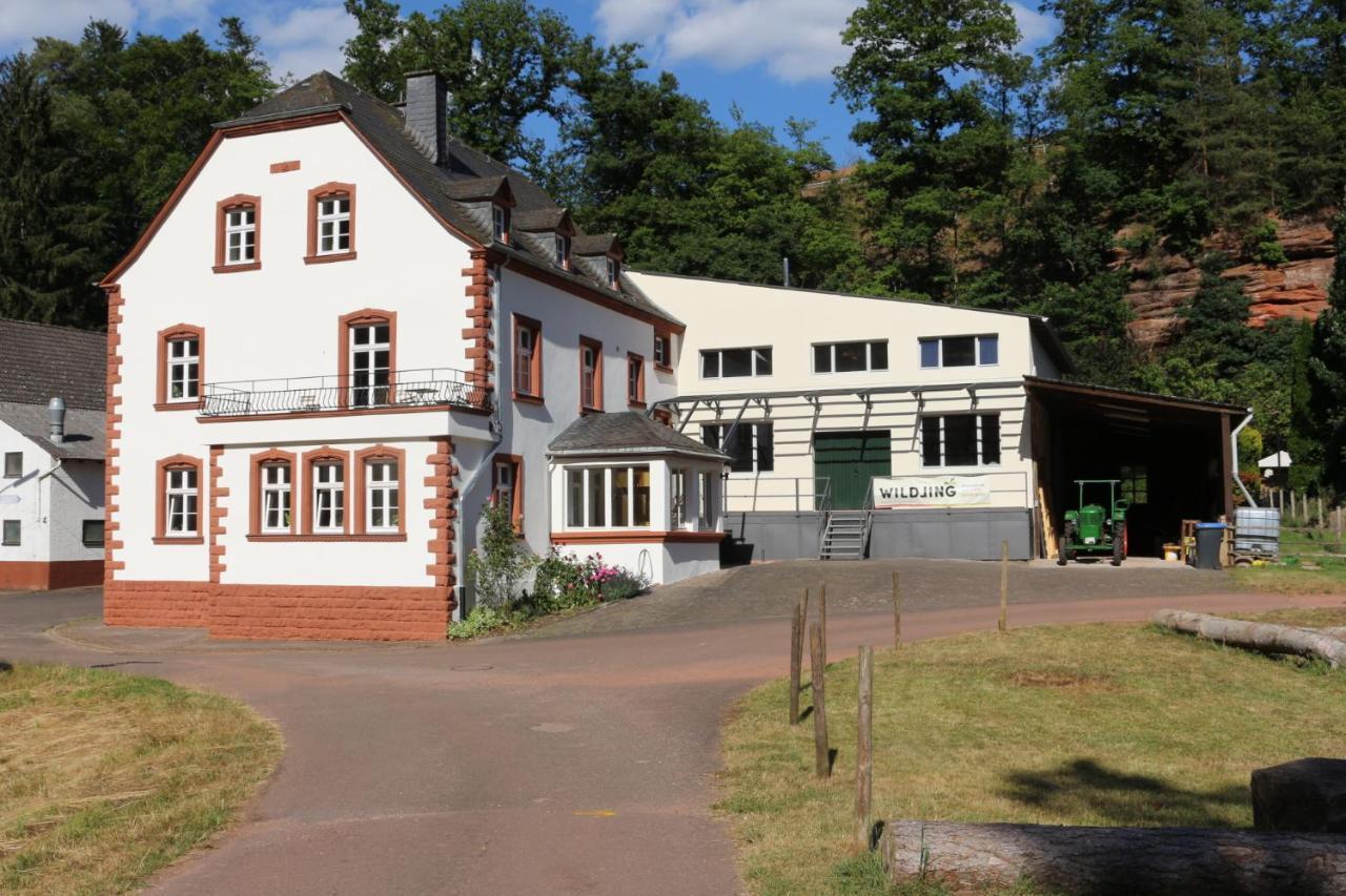 Gaestehaus Herrenmuehle Freudenburg  Exterior photo